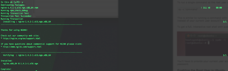 nginx package download and installation